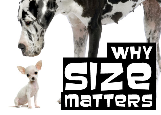 Why Size Matters - Content Marketing Seminar