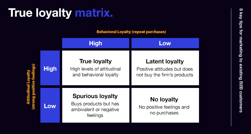 Visualisation of the true loyalty matrix